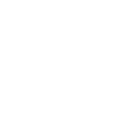 White SEAT logo