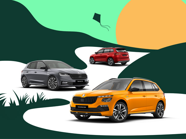 3 Skoda models on a flat abstract background