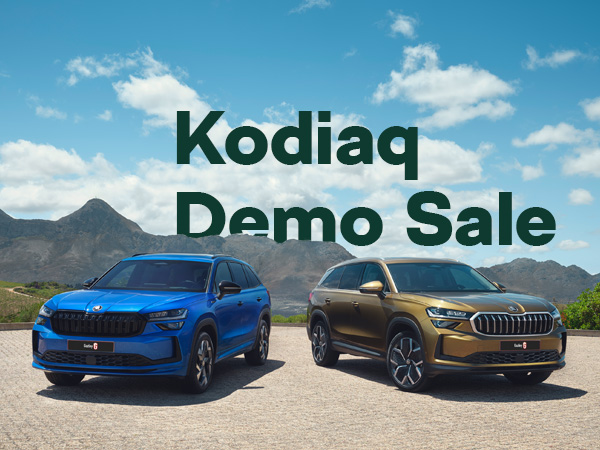 Two Kodiaq models on kobblestones with text in the background