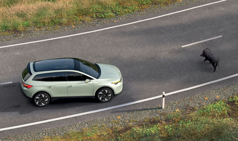 Visualisation of a Skoda's crew protect system activating when a boar is on the road.