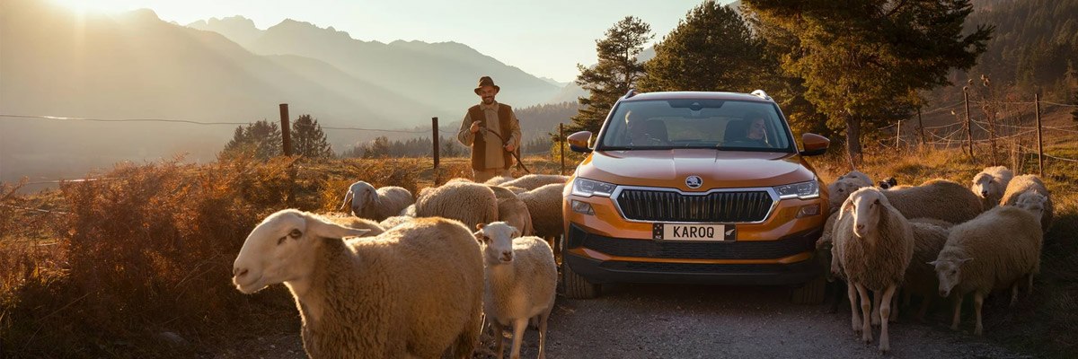 Front view of an orange Karoq surrounded by sheep and a farmer