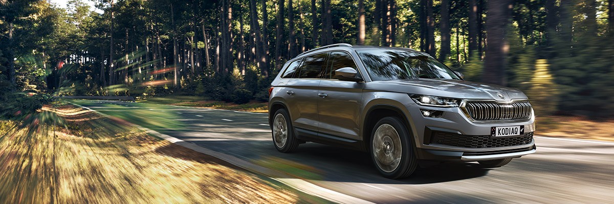 silver kodiaq driving on a road by a forest