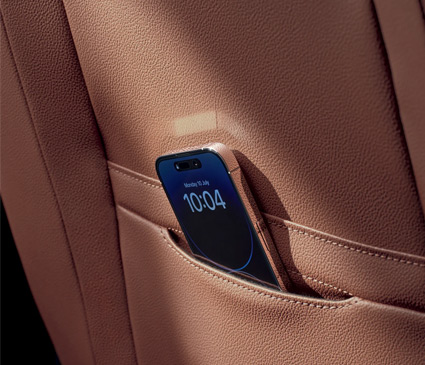 Phone in the rear pocket of a car door